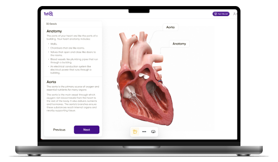 Lesson Creation Interface